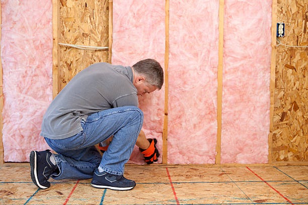 Best Cellulose Insulation in Cordry Sweetwater Lakes, IN