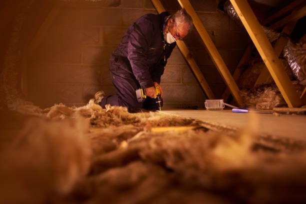 Best Eco-Friendly Insulation in Cordry Sweetwater Lakes, IN
